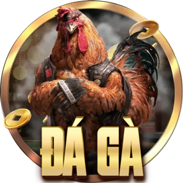 12bet đá gà