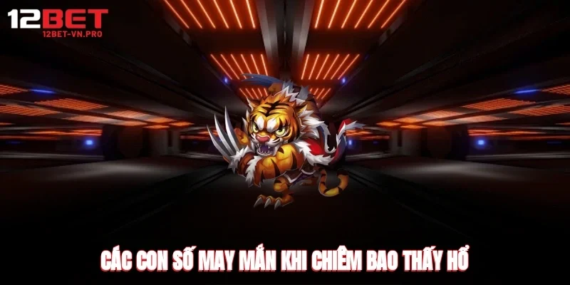 các con số may mắn khi chiêm bao thấy hổ
