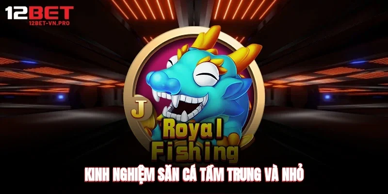 kinh nghiệm săn cá tầm trung và nhỏ